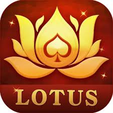 teen patti jelly download